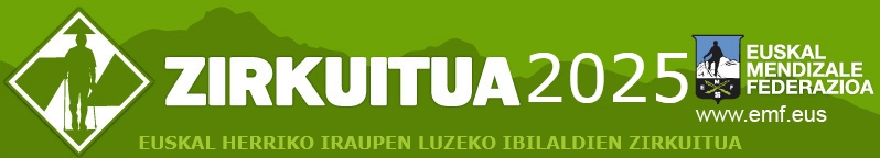 Zirkuitua